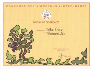 2010 VIF bronze PECH2007