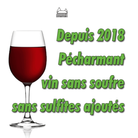 Vin rouge sans sulfites ajoutés