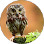 Zoë P. Avatar